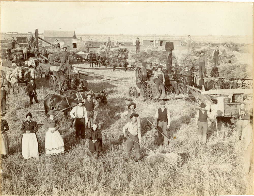 threshing bee