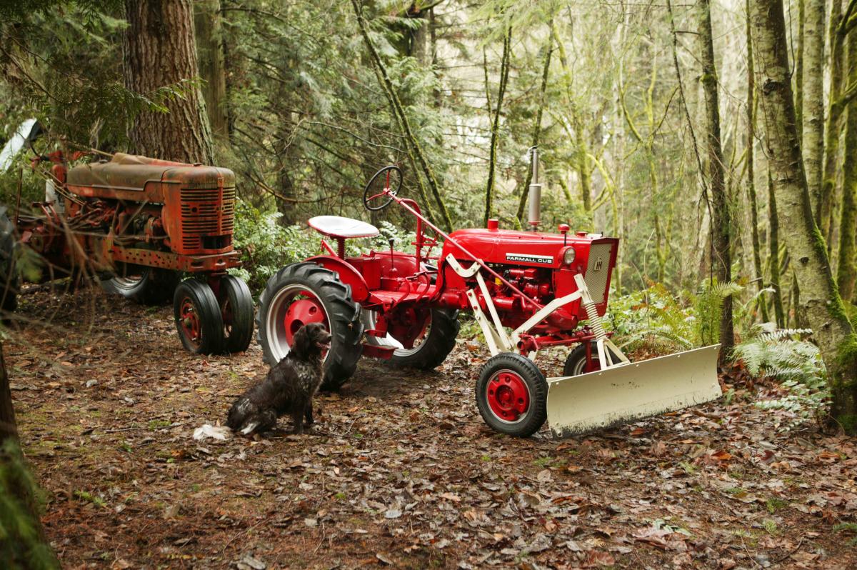 1964 International Cub