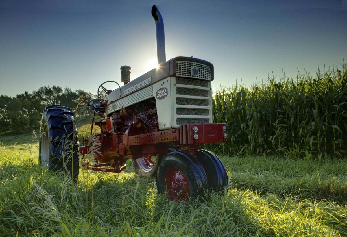 Farmall 560 owned by Jerry Mez of Farmall-Land