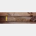 Snoopy Gold Banner 2 Awards No Cover