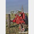 1939 Farmall F14 Tractor in field
