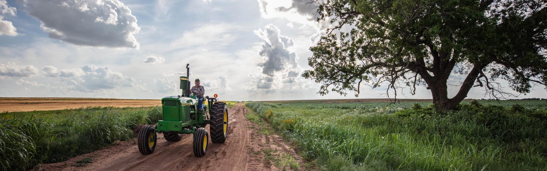 a green tractor drives along a dirt road with blue skies and lush grass